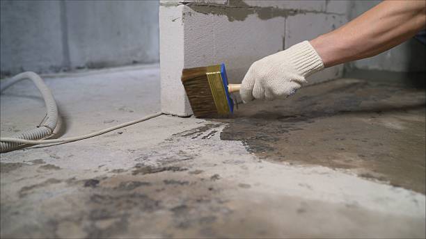 SJ Waterproofing Pros Crawl Space Encapsulation coverage map for Augusta, KY and surrounding area